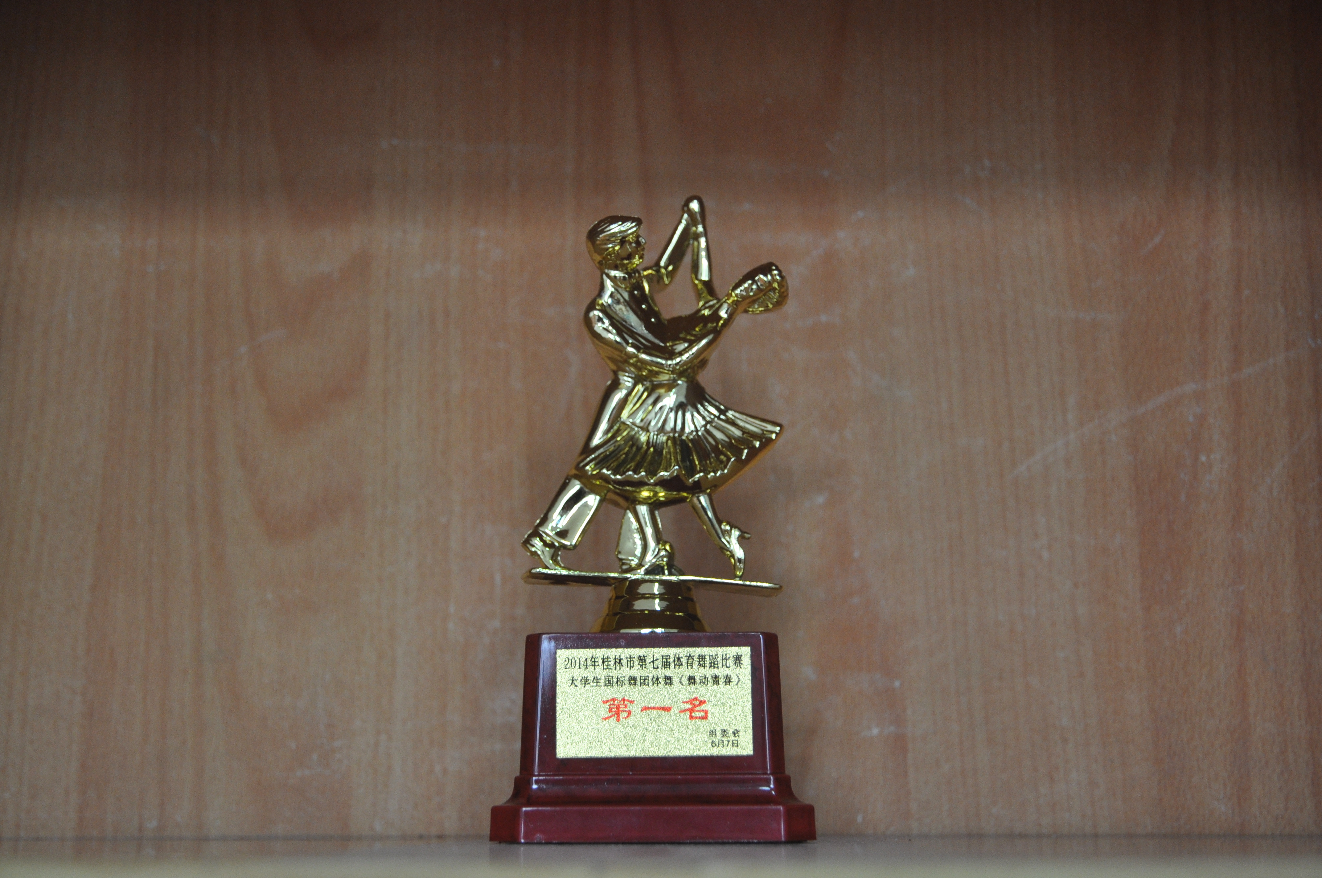 我系舞蹈队在桂林市第七届体育舞蹈比赛中折桂